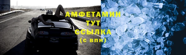 прущие грибы Няндома