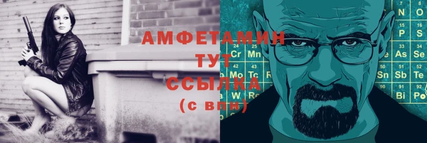 прущие грибы Няндома