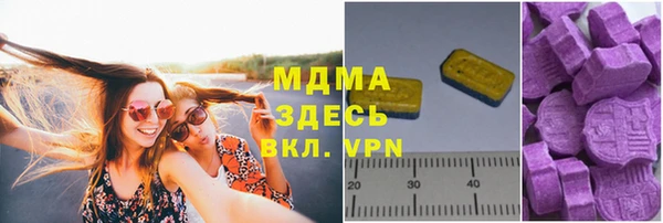 прущие грибы Няндома