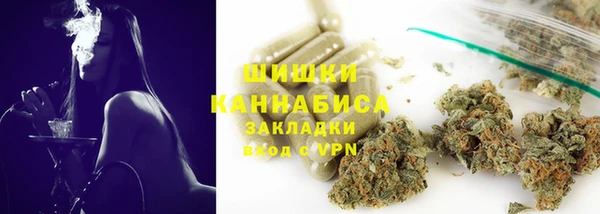 твердый Осташков