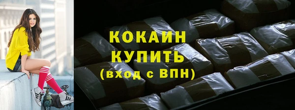 прущие грибы Няндома