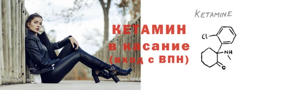 прущие грибы Няндома