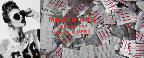 PSILOCYBIN Нязепетровск