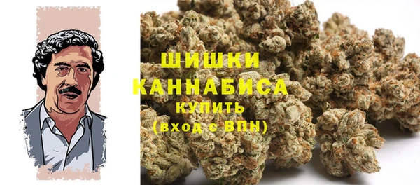 твердый Осташков