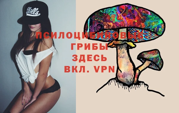 ECSTASY Нягань