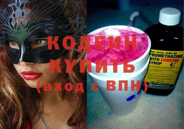 прущие грибы Няндома