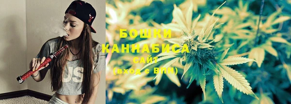 PSILOCYBIN Нязепетровск